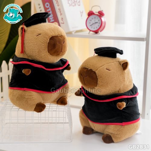 Gấu Tốt Nghiệp Hoạt Hình - Capybara đã được bán tại Gấu Bông Online