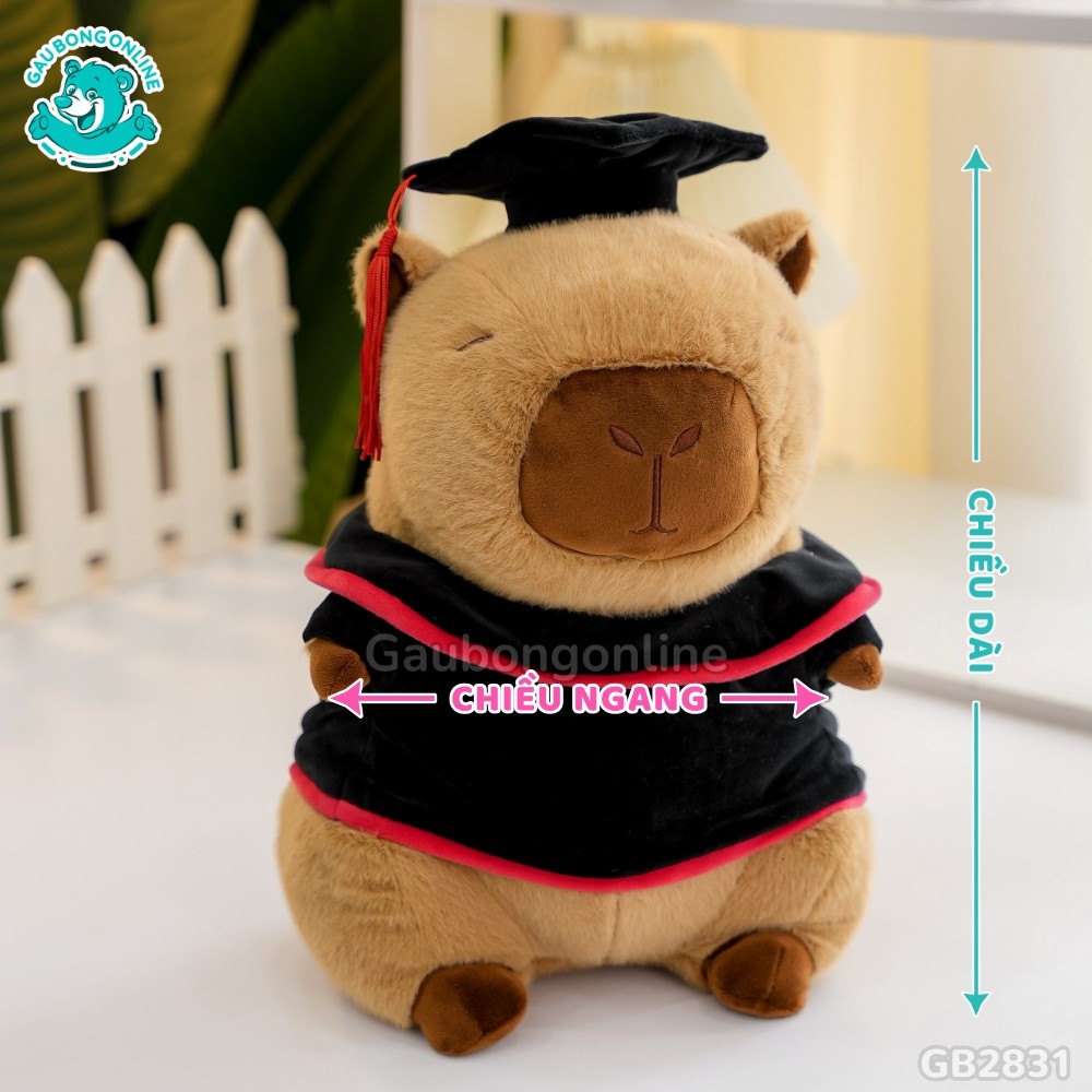 Cách đo kích thước của Gấu Tốt Nghiệp Capybara