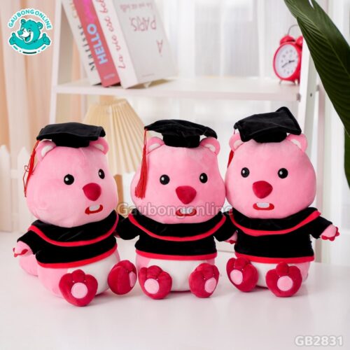 Gấu Tốt Nghiệp Loopy màu hồng dễ thương