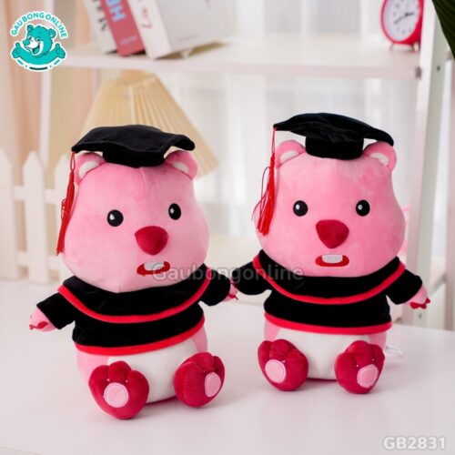 Gấu Tốt Nghiệp Loopy mềm mại, dễ thương