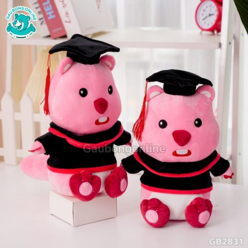 Gấu Tốt Nghiệp Loopy nhỏ nhắn thích hợp trang trí bàn học, bàn làm việc