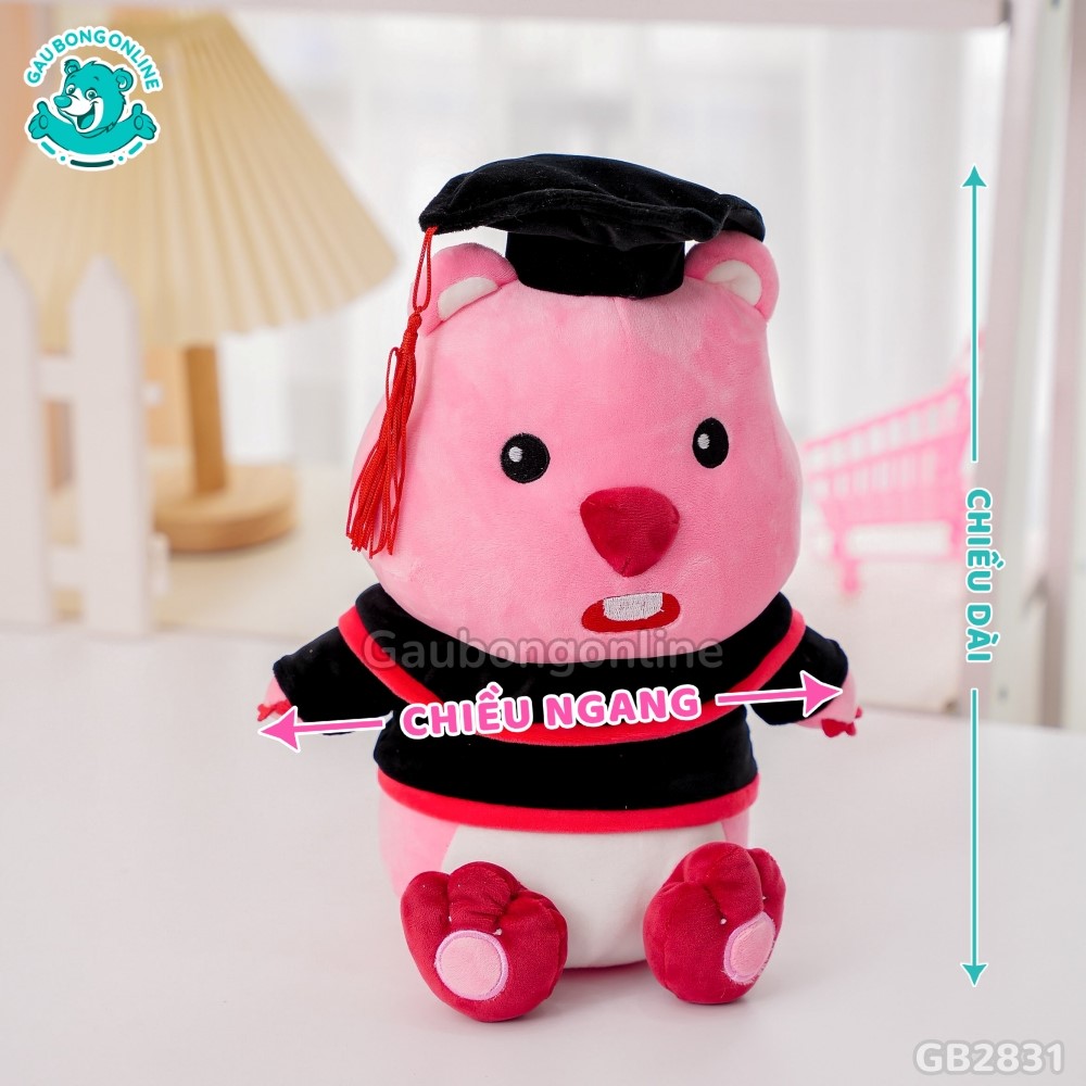 Cách đo kích thước của Gấu Tốt Nghiệp Loopy