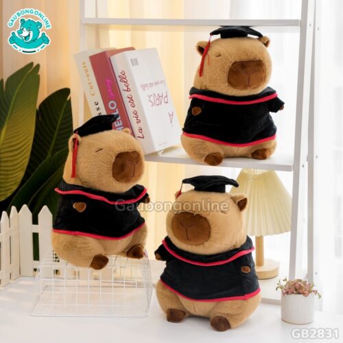 Gấu Tốt Nghiệp Capybara – món quà ý nghĩa cho cử nhân