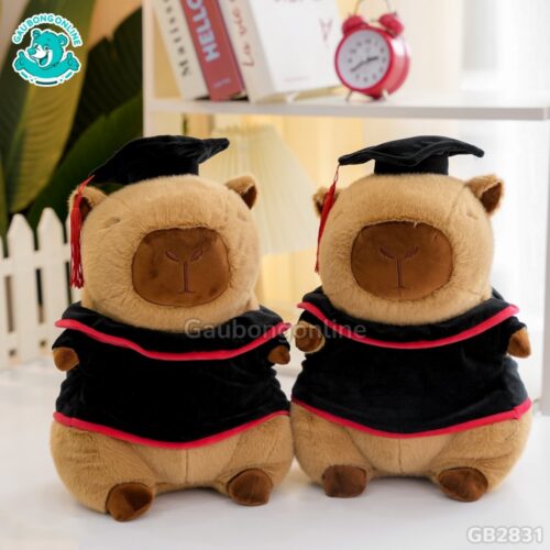 Gấu Tốt Nghiệp Capybara nhỏ nhắn, dễ thương