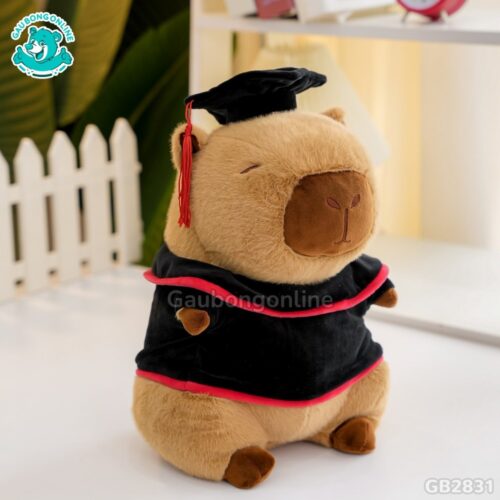 Gấu Tốt Nghiệp Capybara mềm mại, êm ái