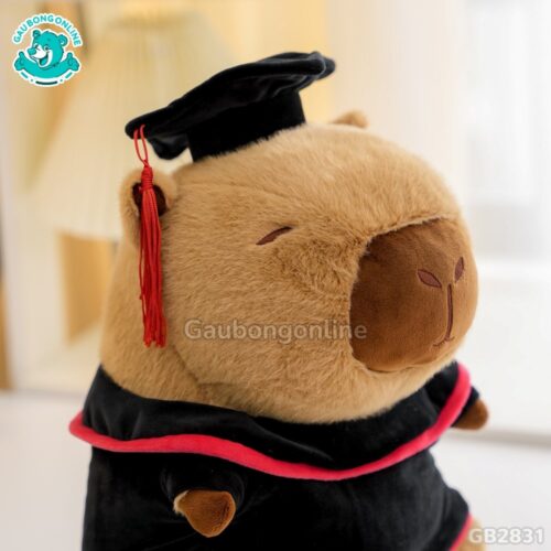 Gấu Tốt Nghiệp Capybara thiết kế tỉ mỉ từng chi tiết