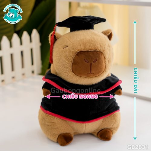 Cách đo kích thước của Gấu Tốt Nghiệp Hoạt Hình - Capybara