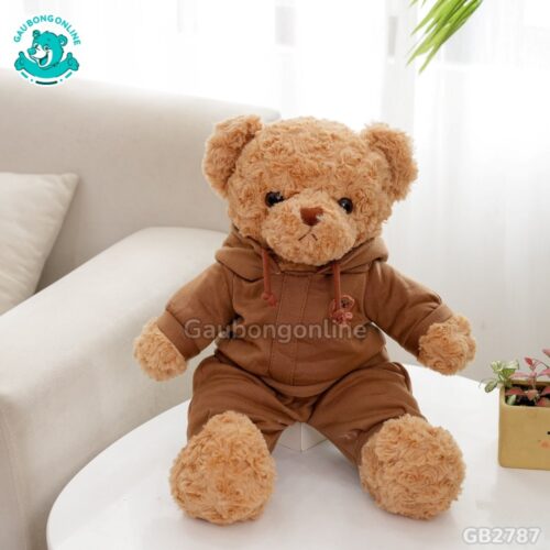 Gấu Mặc Bộ Hoodie – Vàng