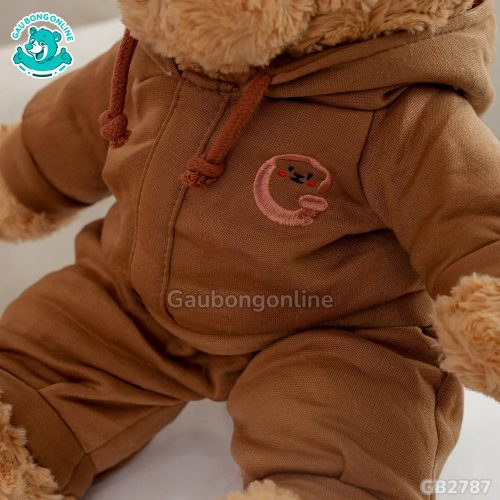 Gấu Mặc Bộ Hoodie