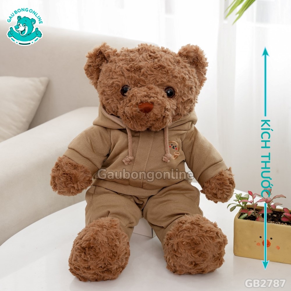 Cách đo kích thước của Gấu Mặc Bộ Hoodie