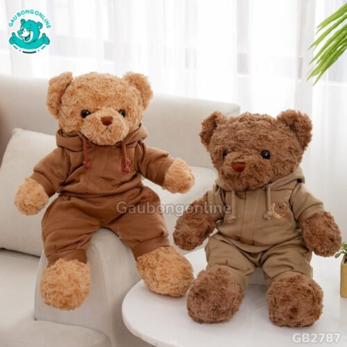 Gấu Mặc Bộ Hoodie hai màu sắc đẹp mắt