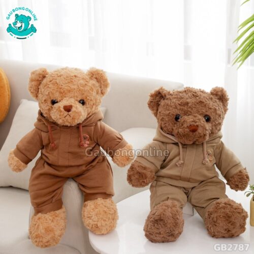 Gấu Mặc Bộ Hoodie thiết kế dễ thương