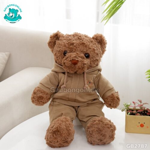 Gấu Mặc Bộ Hoodie – Nâu