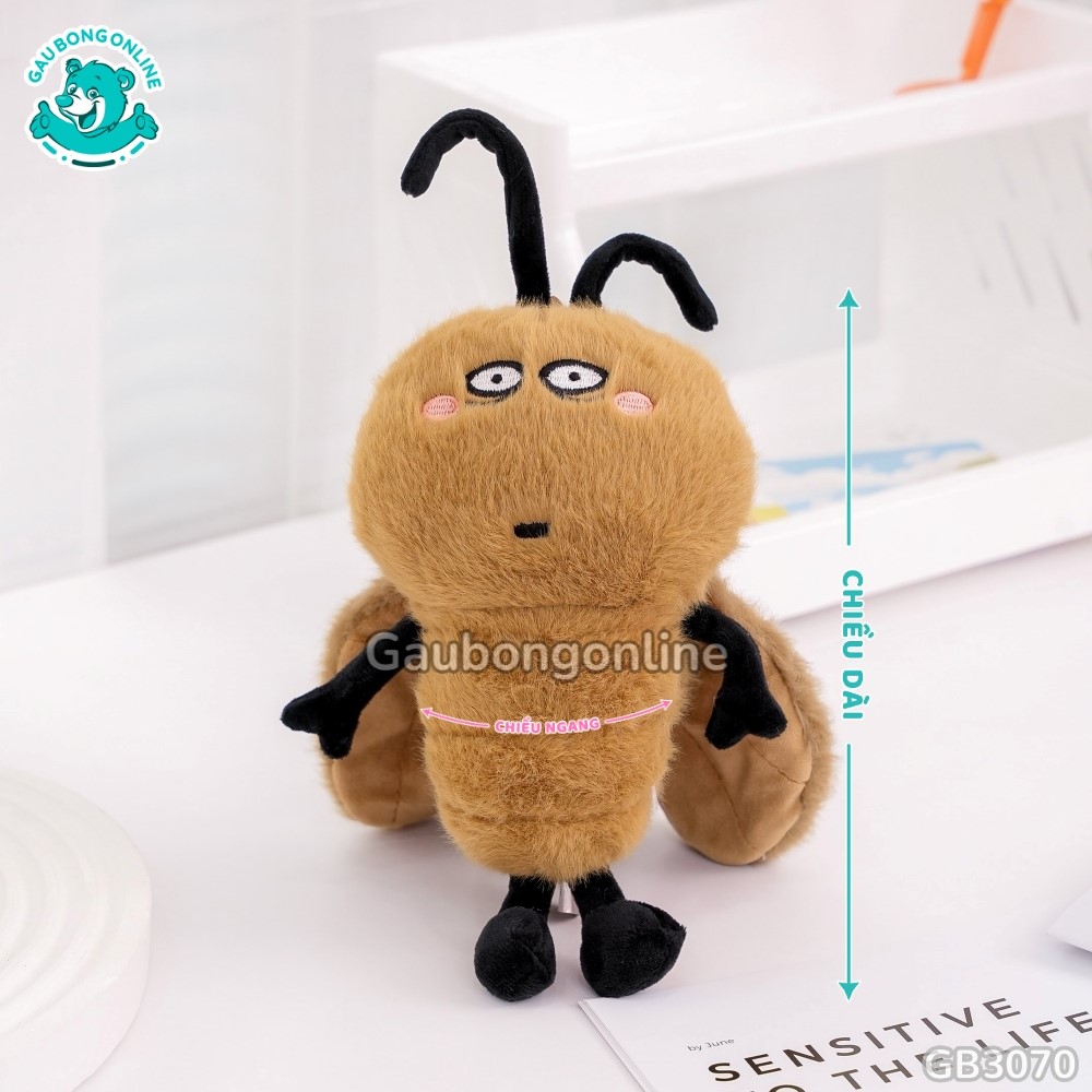 Gấu Bông Tiểu Cường Baby