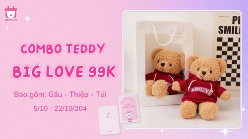 Combo Teddy Big Love 99K