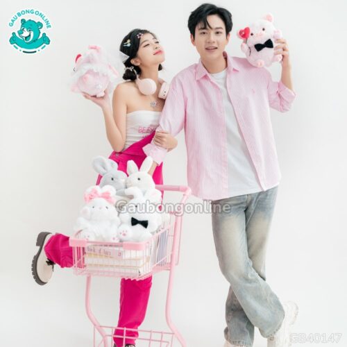 Gấu Bông Couple Dâu Rể Heo Mimi