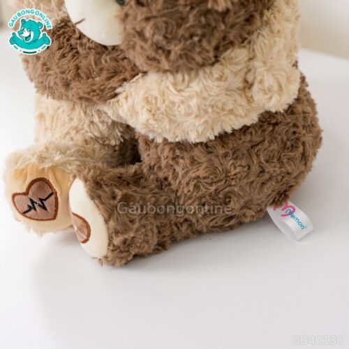 Gấu Bông Cặp Đôi BearHug – Gấu Hugo & Rosie