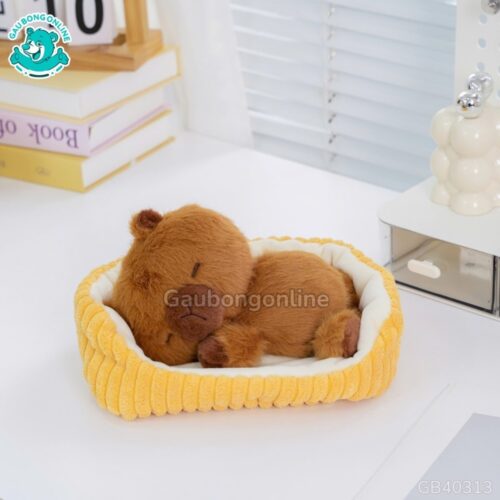 Gấu Bông Capybara Nằm Ngủ