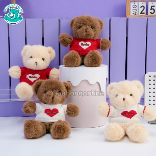 Gấu Bông Áo Len Hình In Tên