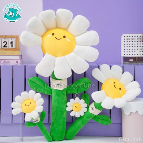 Bó Hoa Daisy Bông