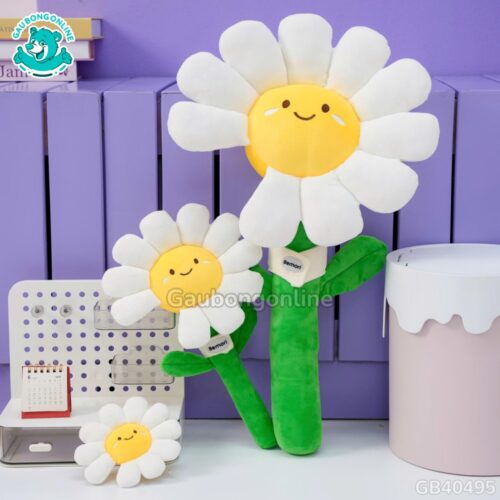 Bó Hoa Daisy Bông