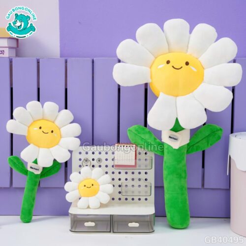 Bó Hoa Daisy Bông