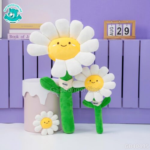 Bó Hoa Daisy Bông