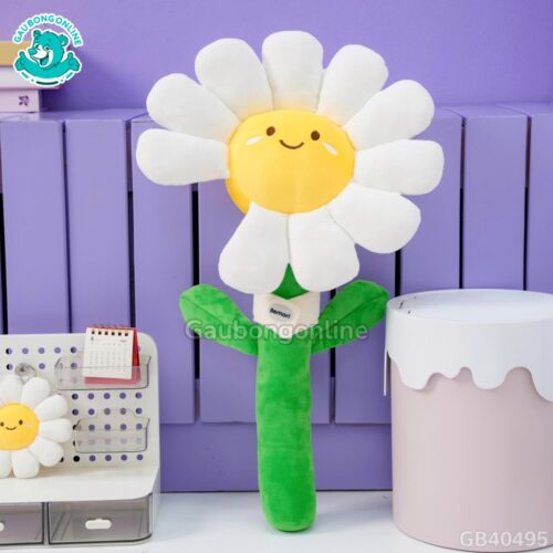 Bó Hoa Daisy Bông