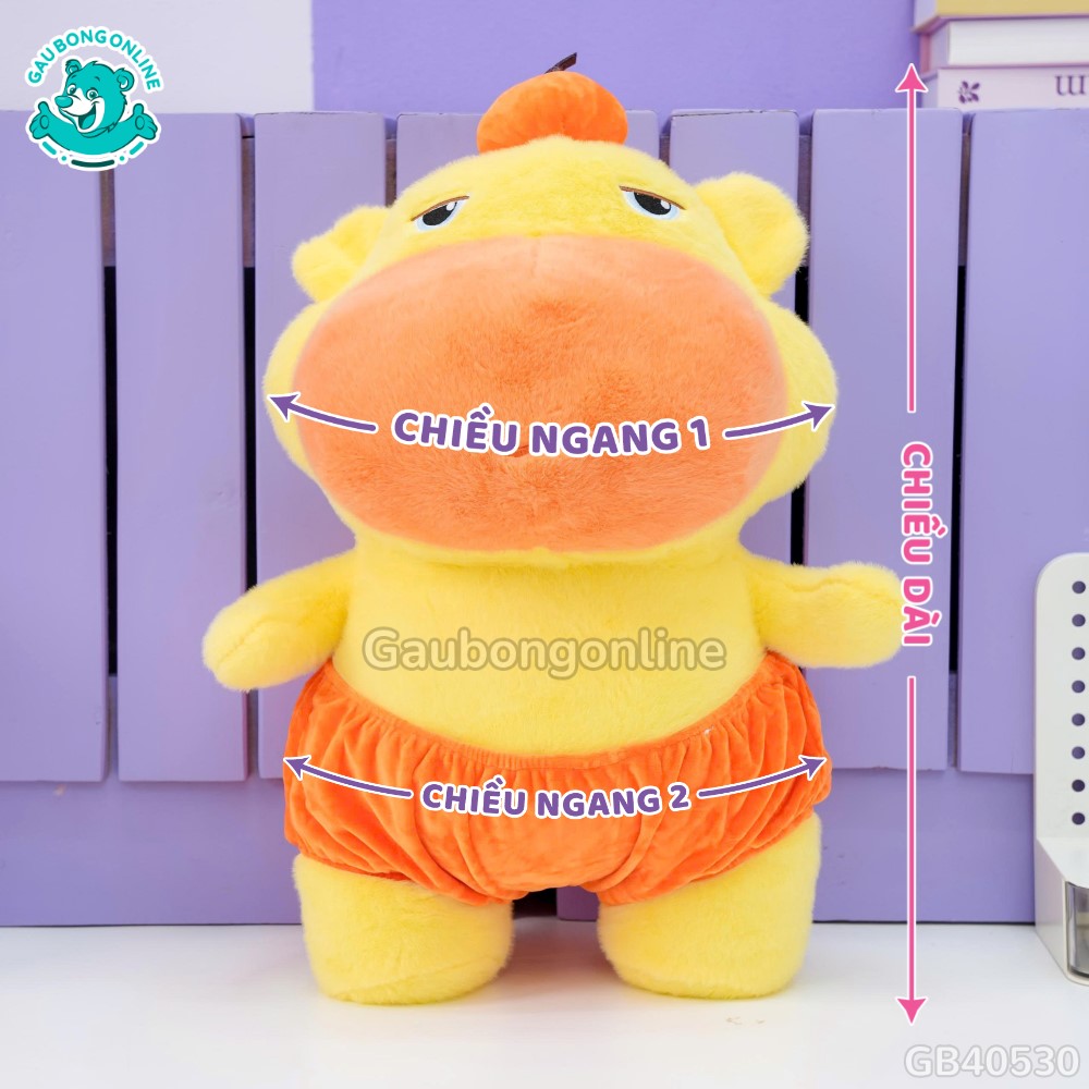 Cách đo kích thước của Gấu Bông Capy Lulu
