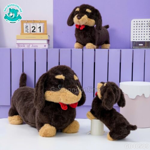 Chó Bông Dachshund Lạp Xưởng