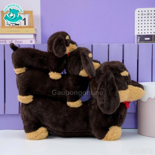 Chó Bông Dachshund Lạp Xưởng