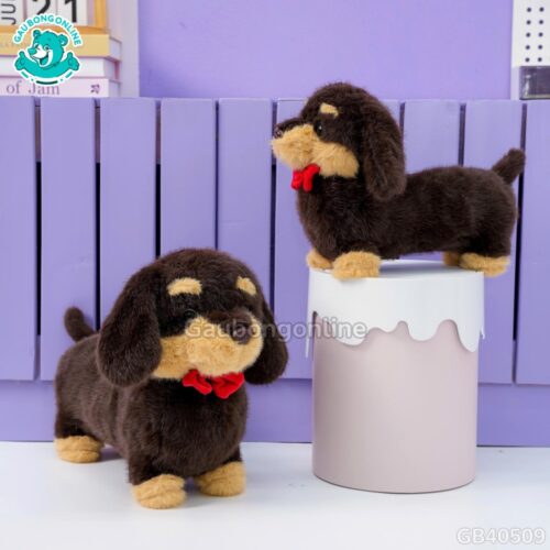 Chó Bông Dachshund Lạp Xưởng