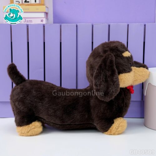 Chó Bông Dachshund Lạp Xưởng