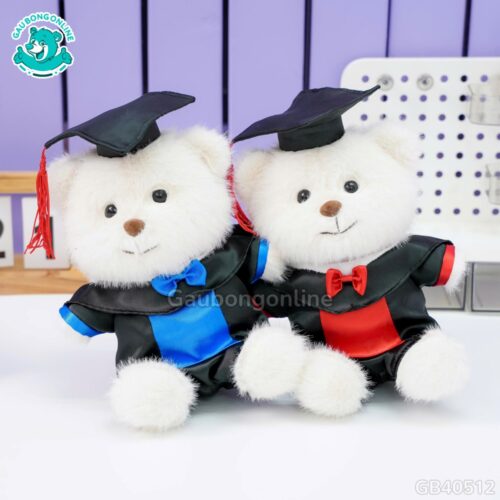 Gấu Trắng Mặc Bộ Tốt Nghiệp Lụa