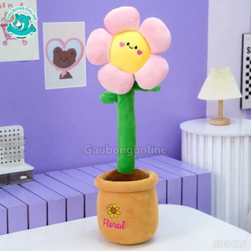 Chậu Hoa Mặt Cười Bông