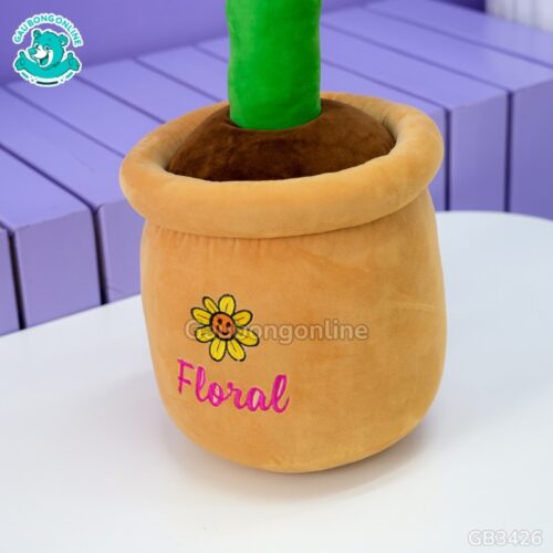 Chậu Hoa Mặt Cười Bông