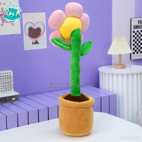 Chậu Hoa Mặt Cười Bông