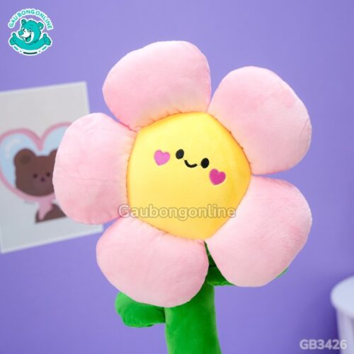 Chậu Hoa Mặt Cười Bông